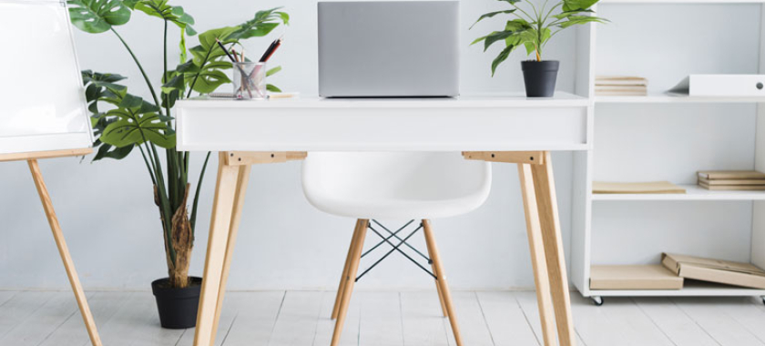 Learn Online Businesses with James